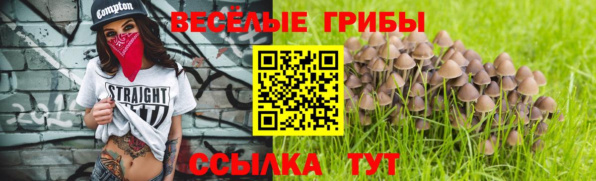 Псилоцибиновые грибы мухоморы  Галлюциногенные грибы мицелий  Вход с VPN  Чита 